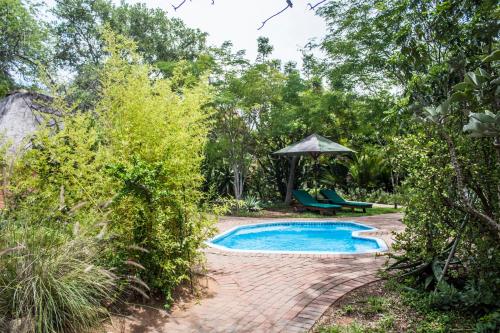 Basen, Nsele Safari Lodge in Rezerwat Thornybush Basen, Nsele Safari Lodge in Rezerwat Thornybush