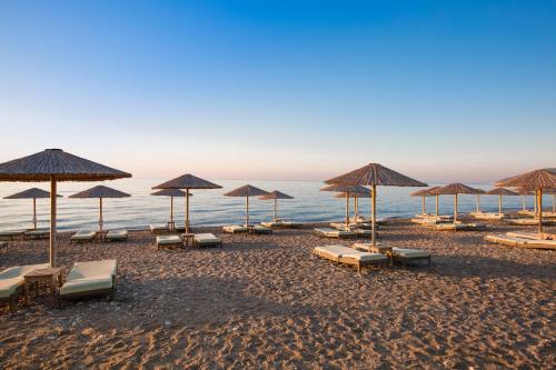 This photo about One Hotel shared on HyHotel.com