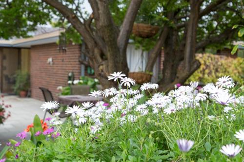 This photo about Bed and Breakfast in Perth shared on HyHotel.com