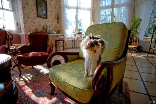 This photo about Domaine de la cote aux chats shared on HyHotel.com