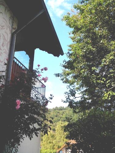 Kert, Ferienwohnung am Nationalpark in Hellenthal-Hahnenberg Kert, Ferienwohnung am Nationalpark in Hellenthal-Hahnenberg