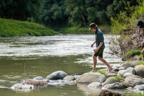 สิ่งอำนวยความสะดวกเพื่อการสันทนาการ, Mahaanui Cottage Farmstay in โมฮากา สิ่งอำนวยความสะดวกเพื่อการสันทนาการ, Mahaanui Cottage Farmstay in โมฮากา