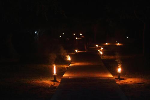 This photo about Leopard Corridor Yala shared on HyHotel.com