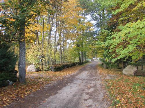 Kihelkonna Jahimaja majutus in Kihelkonna Kihelkonna Jahimaja majutus in Kihelkonna