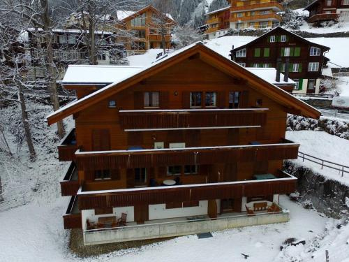 Exterior view, Roossi-Huus 1 in Wengen Exterior view, Roossi-Huus 1 in Wengen