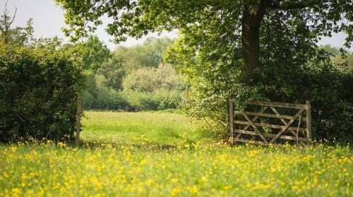 This photo about 10 Castle Street shared on HyHotel.com