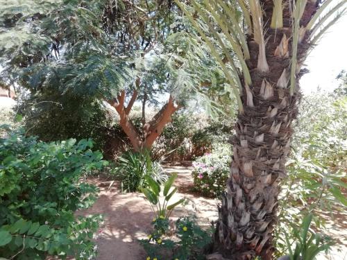 Villa Pat & Diouma in לה סומונה Villa Pat & Diouma in לה סומונה