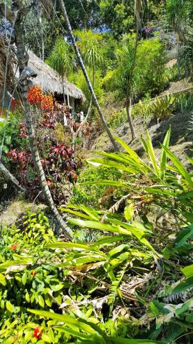 This photo about La Mansion del Pajaro Serpiente shared on HyHotel.com