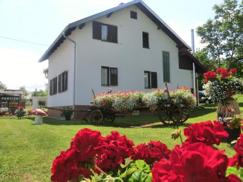 Hotel Pansion Izvor