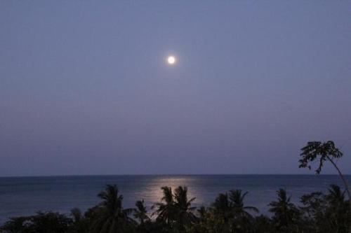 This photo about Titi Sedana Homestay shared on HyHotel.com