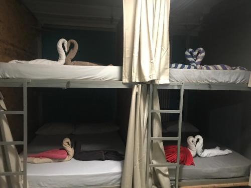 This photo about Guacamundo Beach Hostel 5Th. Ave shared on HyHotel.com