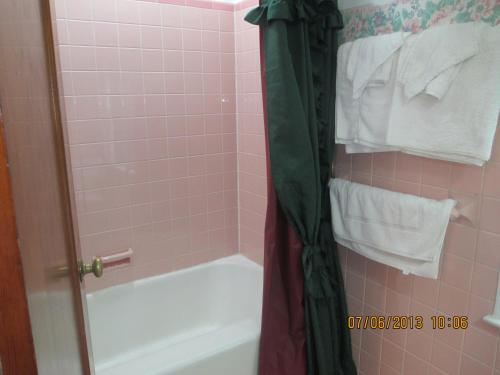 Kupaonica, Great Lakes Motel in Fremont (OH) Kupaonica, Great Lakes Motel in Fremont (OH)