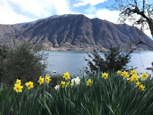 Surrounding environment, Big Apartment with Lake View and Three Bedrooms in Sala Comacina Surrounding environment, Big Apartment with Lake View and Three Bedrooms in Sala Comacina