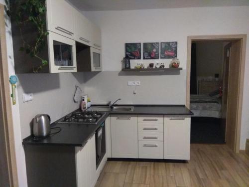 NOVODVORSKÝ APARTMÁN SÁRA (NOVODVORSKY APARTMAN SARA) in เมสโต NOVODVORSKÝ APARTMÁN SÁRA (NOVODVORSKY APARTMAN SARA) in เมสโต