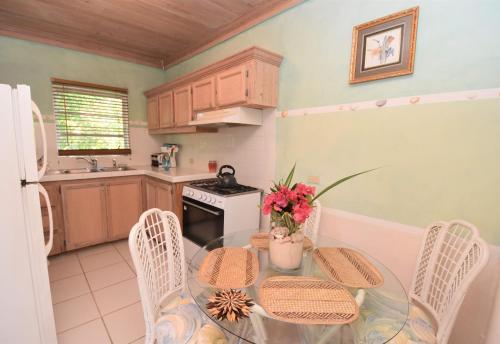 Kitchen, The Sugar Apple Lodging in Dunmore Town Kitchen, The Sugar Apple Lodging in Dunmore Town