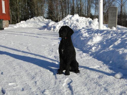 Sunne Hembygdsgård B&B (Sunne Hembygdsgard B&B) in 蘇尼 Sunne Hembygdsgård B&B (Sunne Hembygdsgard B&B) in 蘇尼