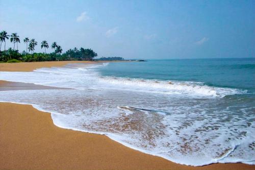 Bohemian Hotel - Negombo in Negombo Bohemian Hotel - Negombo in Negombo