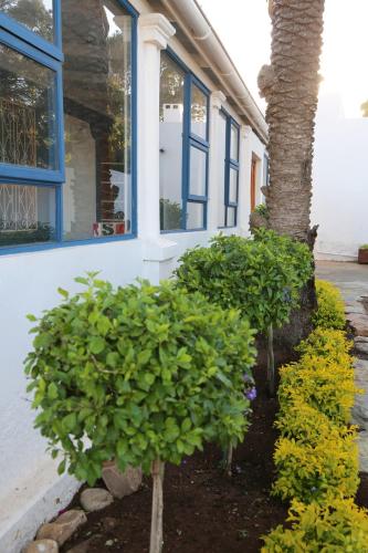 Κήπος, Mr Pell's House Self-Catering Accommodation in Παραλία Jefreys Κήπος, Mr Pell's House Self-Catering Accommodation in Παραλία Jefreys