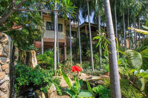 オアシス ハクナ マタタ5