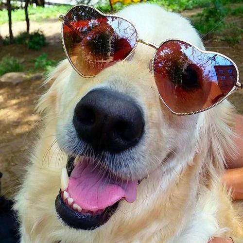 This photo about Arbor House of Black Mountain Bed and Breakfast shared on HyHotel.com