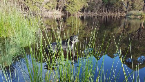 This photo about The Rustic Hut Bush Retreat shared on HyHotel.com