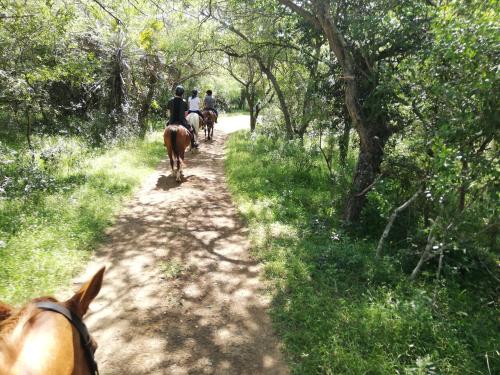 This photo about We Bushcamp & Horse Safaris shared on HyHotel.com