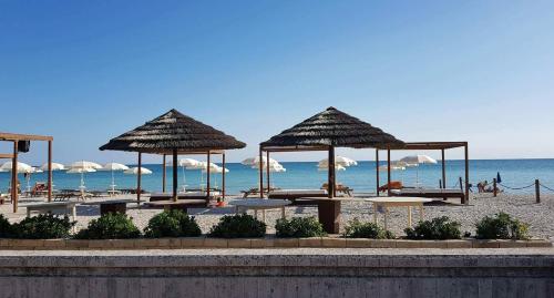 Beach, Sunny Shelter on the Sea in Mondolfo Beach, Sunny Shelter on the Sea in Mondolfo