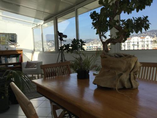 Appartement terrasse vue mer / nice