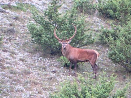 This photo about FILIPPONE HOTEL&RISTORANTE shared on HyHotel.com