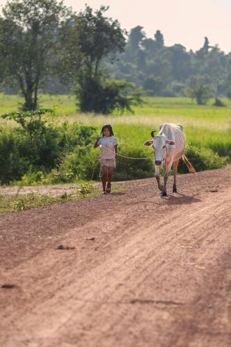 Chansor Homestay 19 By Siem Reap Homesteading in Sot Nikum Chansor Homestay 19 By Siem Reap Homesteading in Sot Nikum