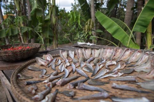 A szálláshely kívülről, Chansor Homestay 19 By Siem Reap Homesteading in Sot Nikum A szálláshely kívülről, Chansor Homestay 19 By Siem Reap Homesteading in Sot Nikum
