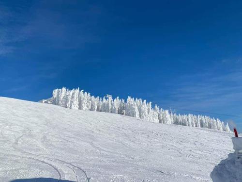 This photo about Landhaus Michael shared on HyHotel.com