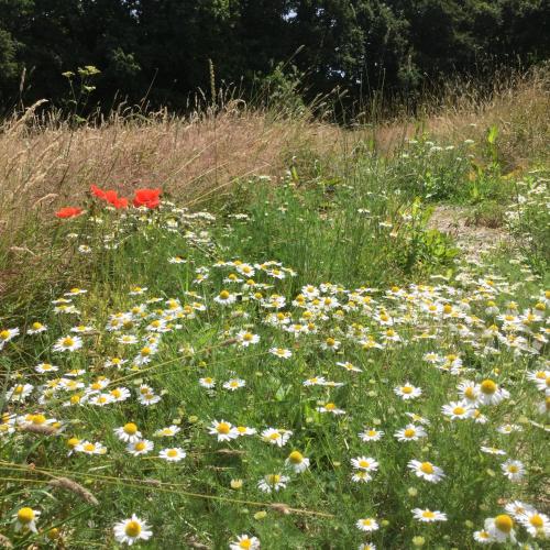 View, Tiny Home cabin Eilidh in Cowes South and Northwood View, Tiny Home cabin Eilidh in Cowes South and Northwood