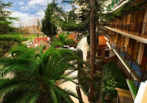 Hotel Olesya