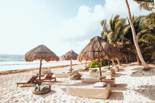 This photo about Tribal Tulum shared on HyHotel.com