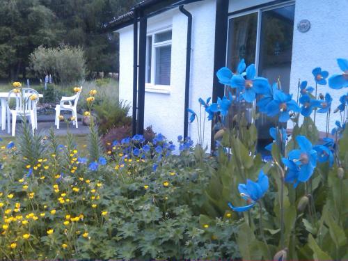 Garden, Dalkell Cottage in Tyndrum Garden, Dalkell Cottage in Tyndrum