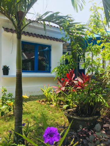 Hoi An Blue Seaside Homestay in Dien Duong Hoi An Blue Seaside Homestay in Dien Duong