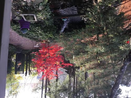 在meiguo.com看到的White Birches Inn的介绍图片