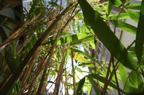 This photo about The One Roomed Guesthouse shared on HyHotel.com