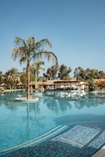 Piscina, Jolie Ville Hotel & Spa Kings Island Luxor in Luxor Piscina, Jolie Ville Hotel & Spa Kings Island Luxor in Luxor