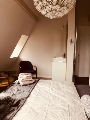 Ferienwohnung in der Villa Blumer in Zwickau Ferienwohnung in der Villa Blumer in Zwickau