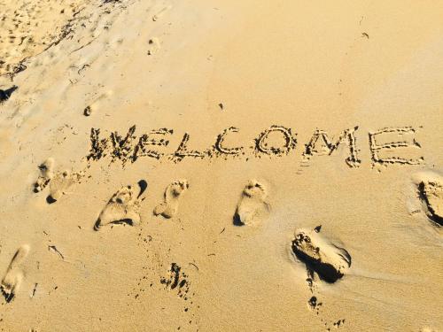 Mi Palmera 
Mi Palmera