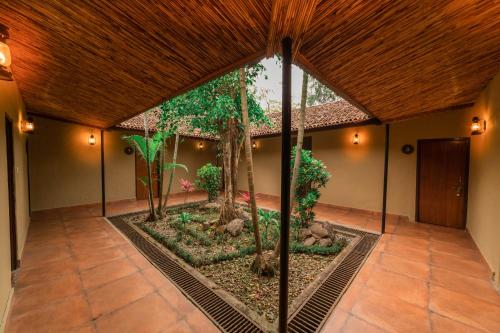 ทัศนียภาพภายนอกโรงแรม, กรีนแมนชั่นจังเกิ้ลรีสอร์ท (Green Mansions Jungle Resort) in ซอราฮา ทัศนียภาพภายนอกโรงแรม, กรีนแมนชั่นจังเกิ้ลรีสอร์ท (Green Mansions Jungle Resort) in ซอราฮา