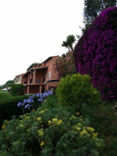 Entrance, Les Citronniers d'Azur in Menton Entrance, Les Citronniers d'Azur in Menton