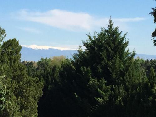 This photo about Mas De Mariette shared on HyHotel.com