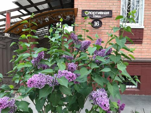 Hotel Vinoghrad in Syzran Hotel Vinoghrad in Syzran