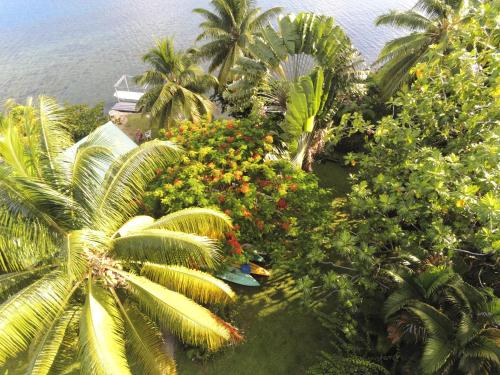 ogród, Fare Vahine Oviri - 1048DTO-MT in Raiatea ogród, Fare Vahine Oviri - 1048DTO-MT in Raiatea