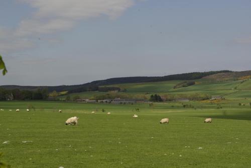 Cuddy's Croft in Selkirk Cuddy's Croft in Selkirk