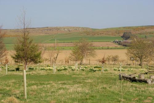 Цікаві місця поруч, Cuddy's Croft in Селкірк Цікаві місця поруч, Cuddy's Croft in Селкірк