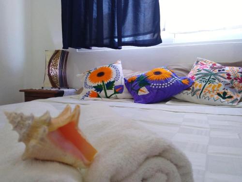 This photo about Casa Mama Maria shared on HyHotel.com